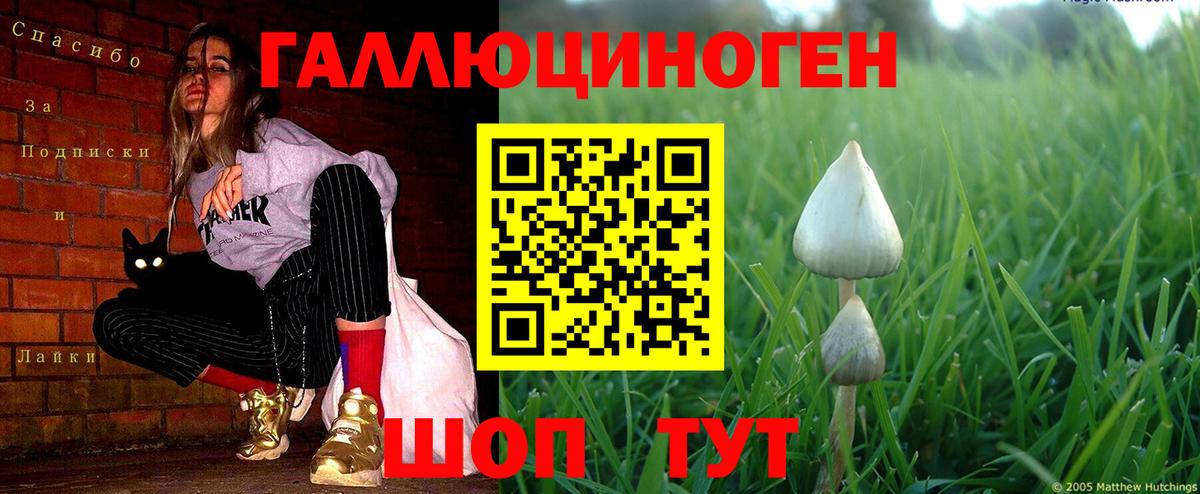 Псилоцибиновые грибы GOLDEN TEACHER  Вход с VPN  Орск 